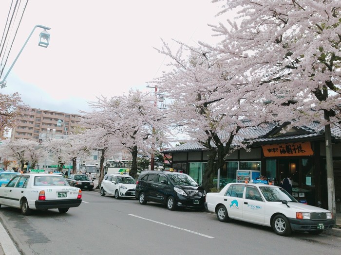 mê hoặc mùa xuân rực sắc màu tại hokkaido