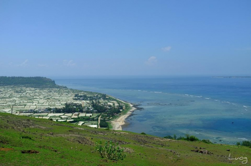 Cảnh đẹp đảo Lý Sơn đầy mê hoặc qua ống kính Fujifilm X100 của phượt thủ 8x