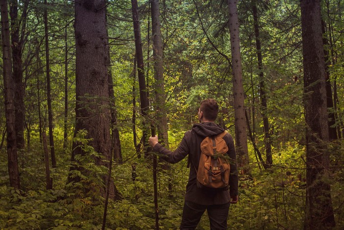 bí kíp du lịch, kinh nghiệm du lịch, mẹo du lịch, 5 kỹ năng giúp phượt thủ ‘sống sót’ khi lạc trong rừng sâu
