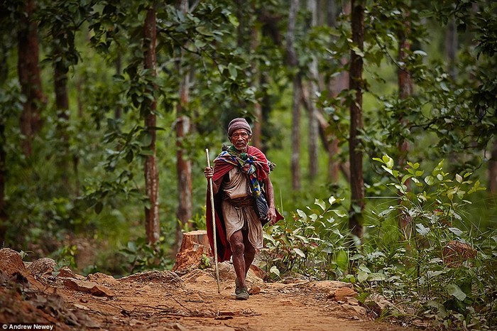 Tộc người săn khỉ làm thức ăn ở Nepal
