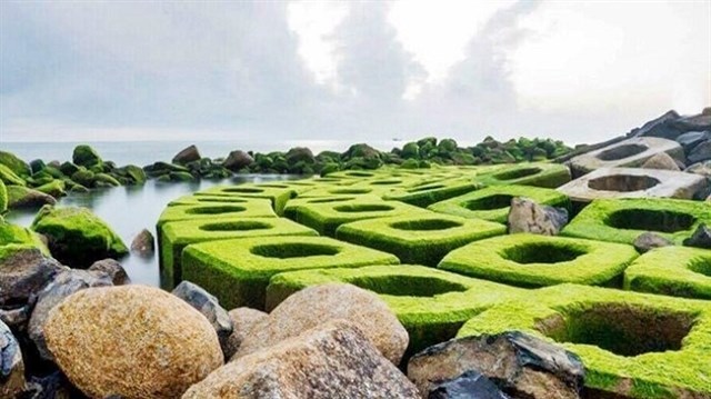 Thiên đường phủ rêu xanh ở Phú Yên thu hút giới trẻ tới check-in