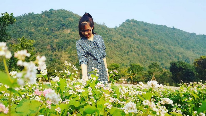 Ngỡ ngàng vườn hoa tam giác mạch ở Ninh Bình