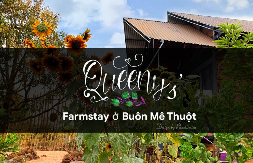 Queeny’s Farmstay – Nơi để bạn ” trở về ” ngỉ ngơi hòa mình với cây cỏ