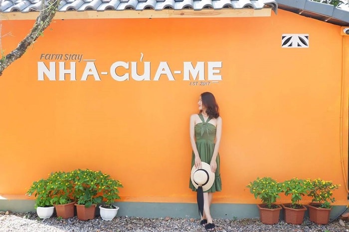 Tạo dáng thần sầu với #15 Homestay ở Mộc Châu cho nàng check in view đồi ngắm hoa 2022