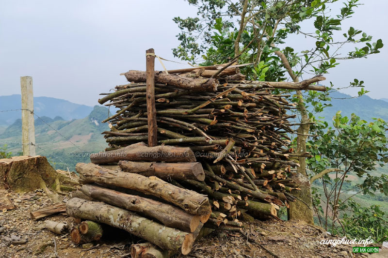 kinh nghiệm đi cắm trại cho người mới