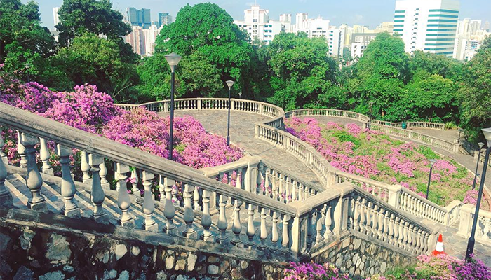 du lịch singapore, singapore, sống ảo ngàn like tại 7 công viên đẹp nhất singapore