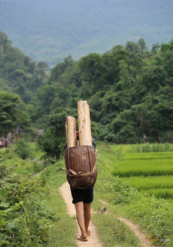 miền bắc, phượt pù luông với những thửa ruộng bậc thang xanh mướt