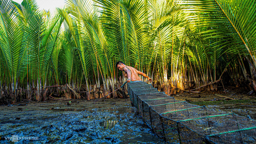 rừng dừa nước bên cạnh cổ lũy cô thôn