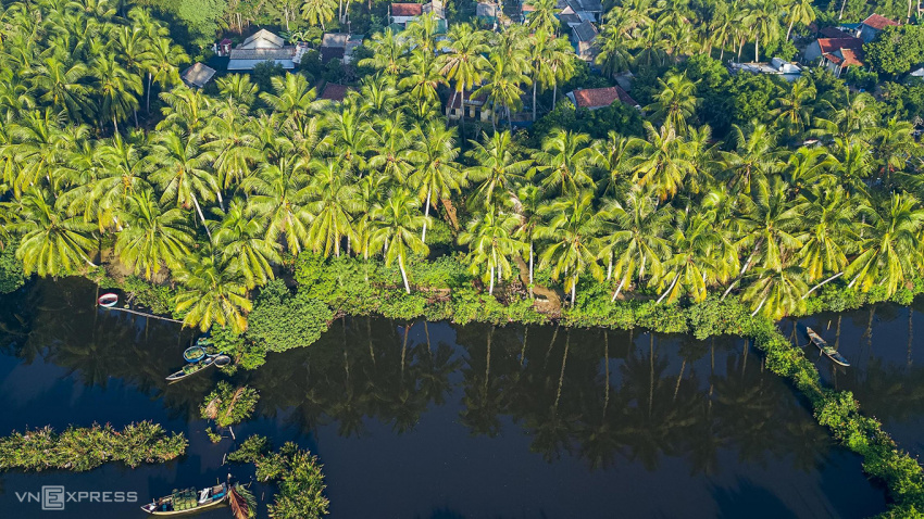 rừng dừa nước bên cạnh cổ lũy cô thôn