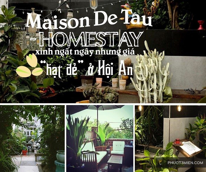 homestay, hội an, miền trung, quảng nam, 20+ homestay hội an đẹp giữa lòng phố cổ, giá tốt từ 300k/ngày 2022