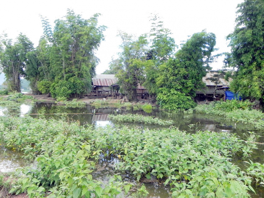 khung cảnh bình yên của buôn jun bên hồ lắk