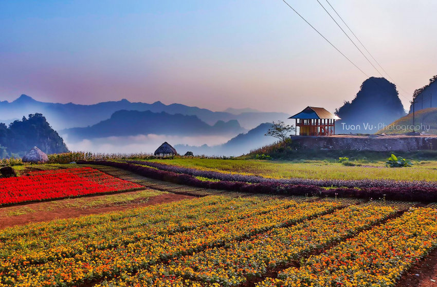 Bình nguyên xanh Khai Trung, vẻ đẹp tiềm ẩn của đất Lục Yên