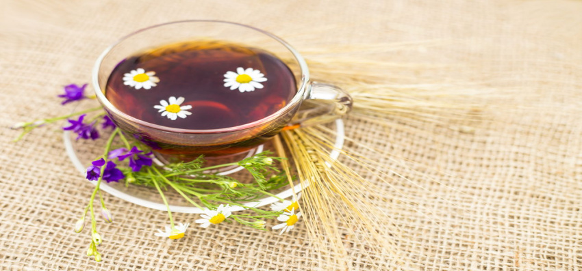 Trà Lavender - Công dụng của trà Lavender