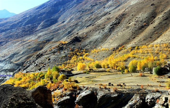 Mùa thu ở Ladakh: Hành trình trải nghiệm của 1 phụ nữ Việt đến nơi đẹp tựa 'thiên đường ẩn giấu' ở Ấn Độ