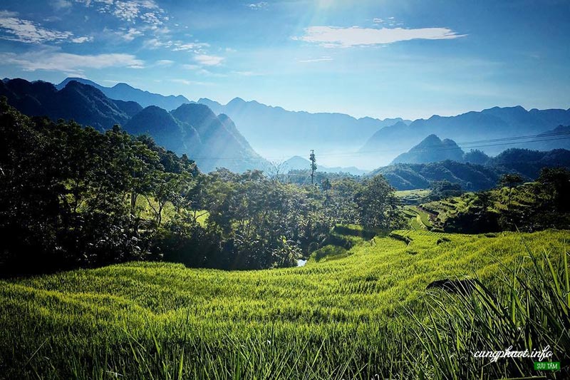 kinh nghiệm du lịch pù luông