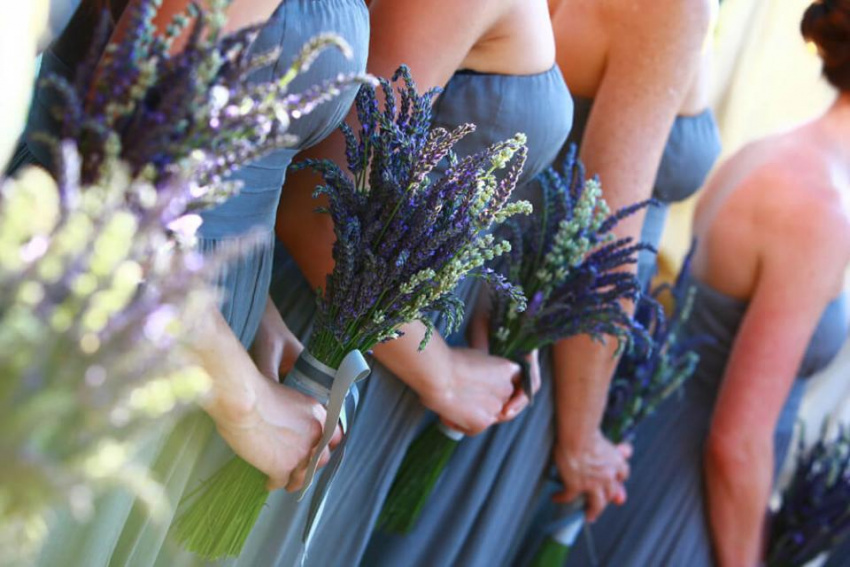 {}, công dụng của hoa lavender khô đà lạt
