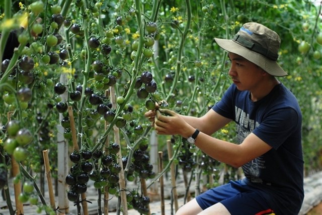 {}, 12 điểm đưa nhau đi trốn đặc biệt nhất đà lạt