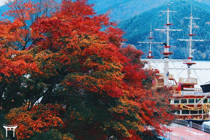 Vẻ đẹp cả mùa thu nước Nhật gói gọn trong Hadoke