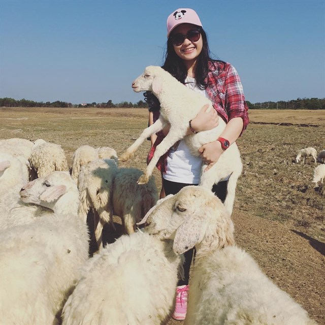 {}, những bức ảnh siêu cute với cánh đồng cừu cách sài gòn 70 km