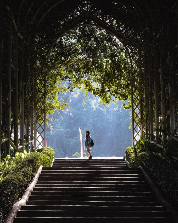 Có một vườn xương rồng Queen Sirikit Botanic Garden cực đẹp ở Chiang Mai, bạn đã biết chưa nhỉ?