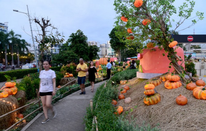 Khu vườn hàng trăm quả bí ngô ở Sài Gòn chào đón lễ hội Halloween