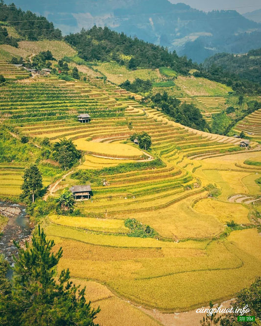 kinh nghiệm du lịch mù cang chải, yên bái