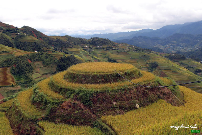 kinh nghiệm du lịch mù cang chải, yên bái