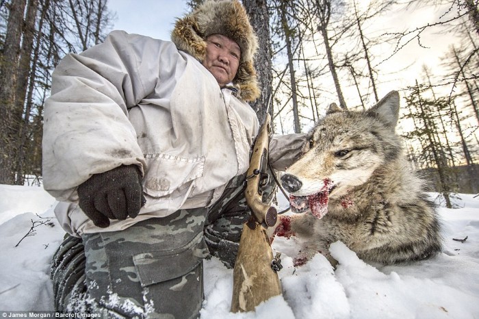 du lịch nga, du lịch siberia, khám phá thế giới, thế giới đó đây, nghề săn chó sói ở vùng đất lạnh giá nhất nga