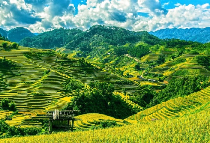 Báo Anh bình chọn Việt Nam đứng đầu 10 điểm du lịch một mình được yêu thích nhất