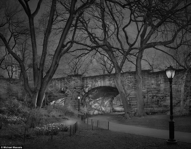 Vẻ đẹp khác lạ vào ban đêm của công viên Central Park, Mỹ