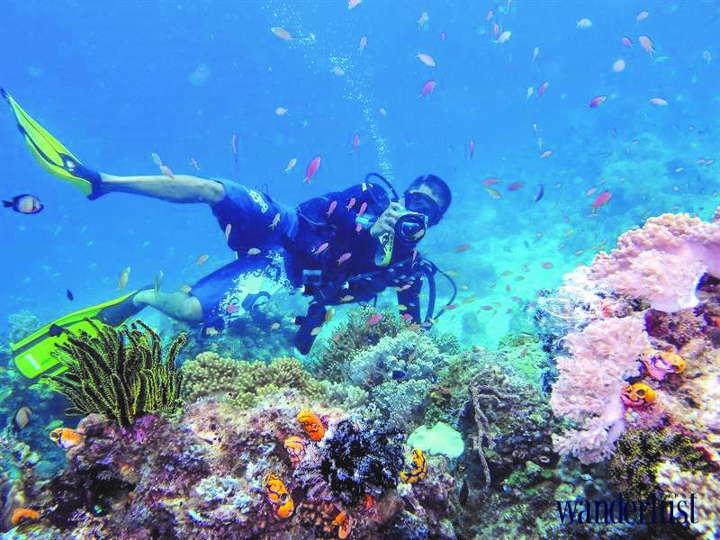 Sipadan – Thiên đường lặn biển ở Malaysia