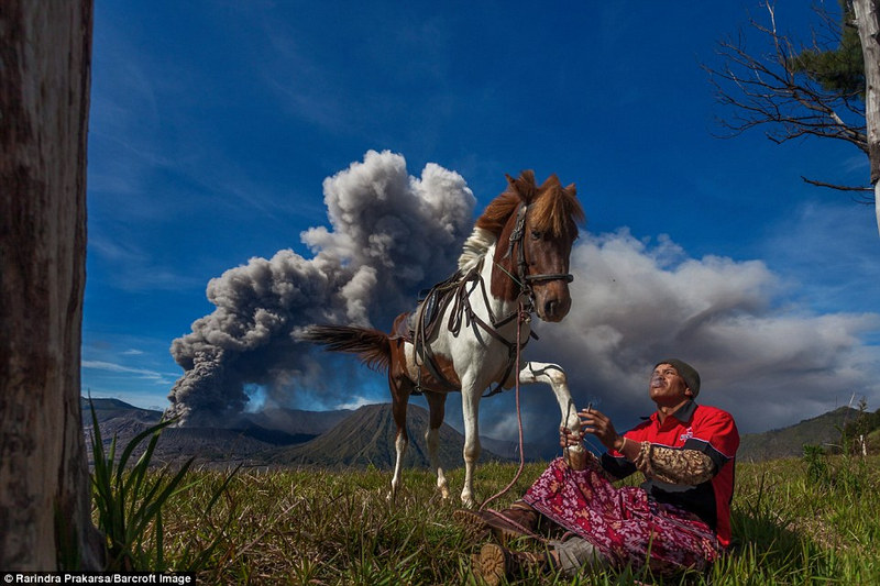 Những “kỵ sĩ” dưới chân núi lửa Bromo