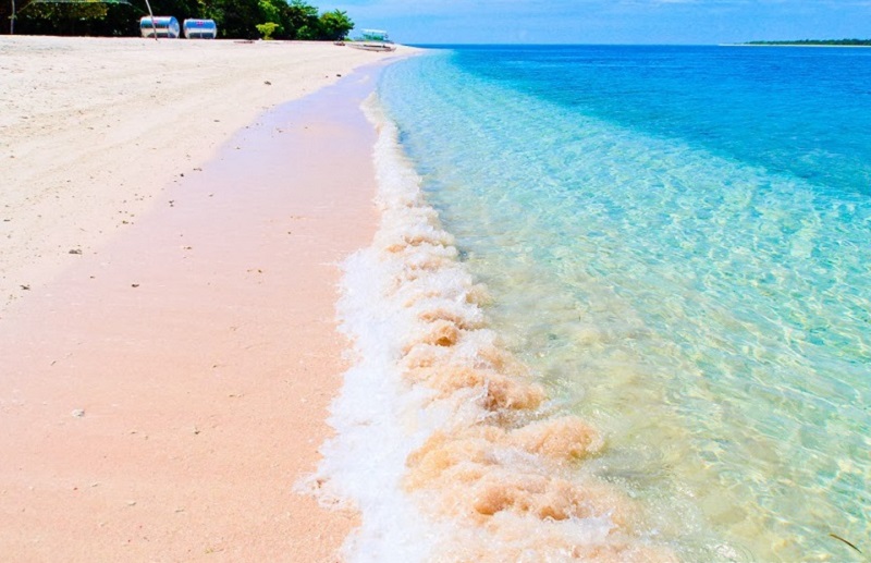 {}, mê đắm bãi biển màu hồng kì lạ ở đảo lớn santa cruz