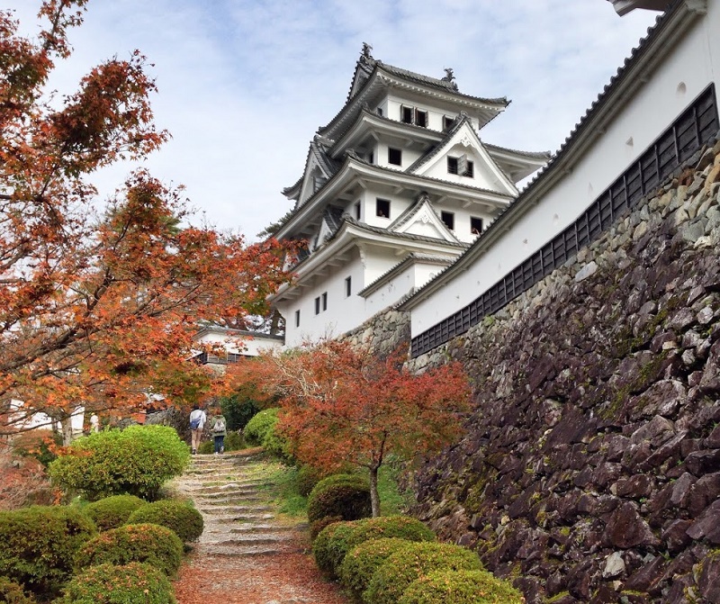 Mùa thu đến Nhật Bản chiêm ngưỡng lá đỏ Momiji và hoa anh đào nở trái mùa