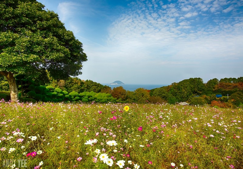 10 lý do du khách nhất định phải ghé Kyushu khi tới Nhật Bản