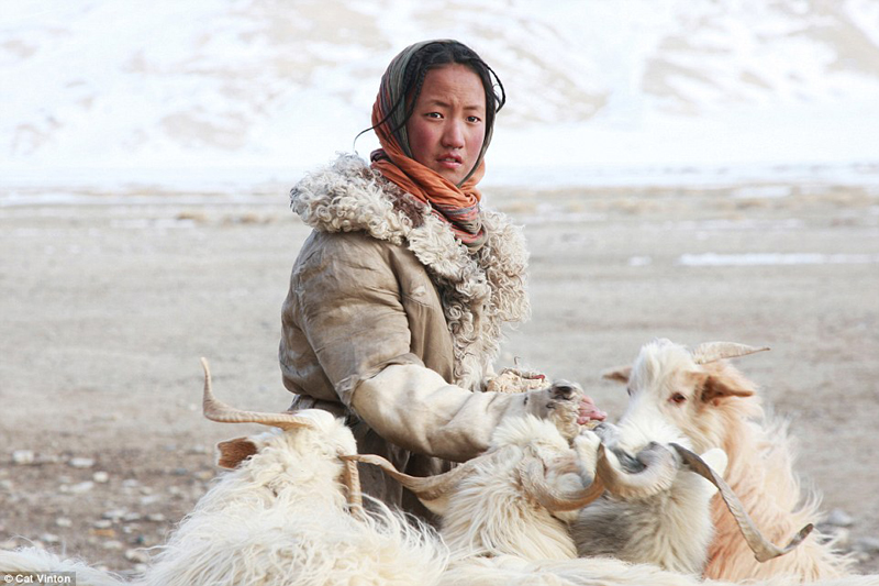 {}, cuộc sống tách biệt thế giới văn minh của người tây tạng tại dãy himalaya