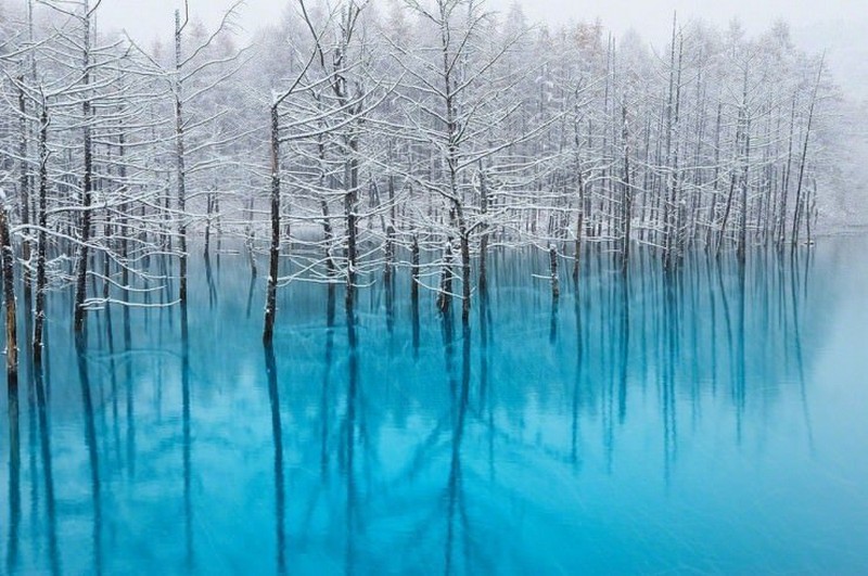 Ngỡ ngàng màu nước lam ngọc kỳ diệu của hồ Blue Pond, Nhật Bản