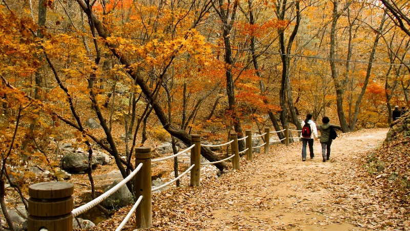5 ngọn núi đẹp ở Hàn Quốc phải đến trong mùa lá đỏ