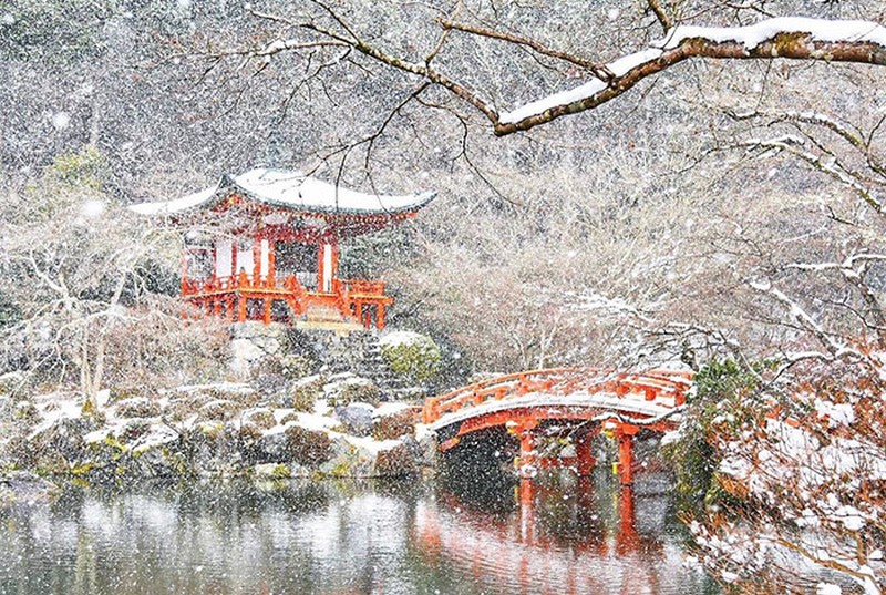 {}, tinh khôi mùa tuyết rơi ở cố đô kyoto, nhật bản