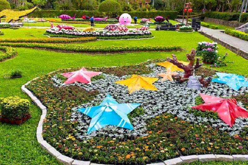 Du lịch Đài Bắc tham dự lễ hội hoa cúc rực rỡ sắc màu