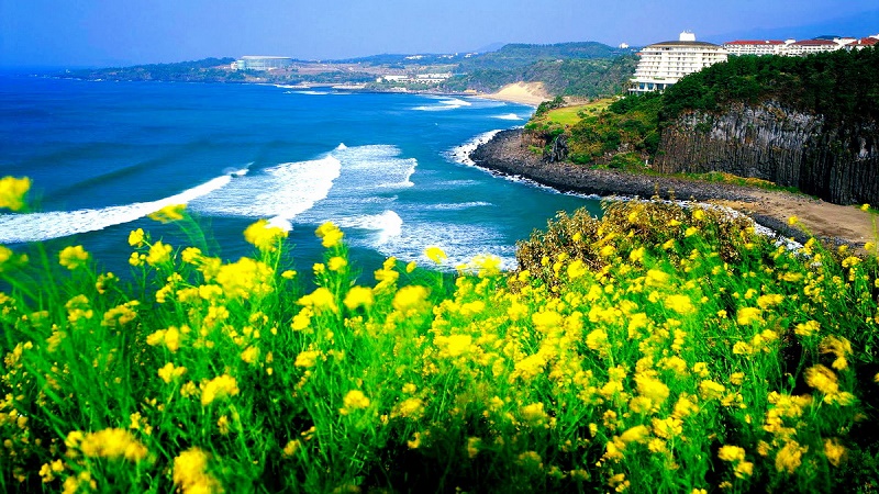 3 ngày hẹn hò ở đảo Jeju