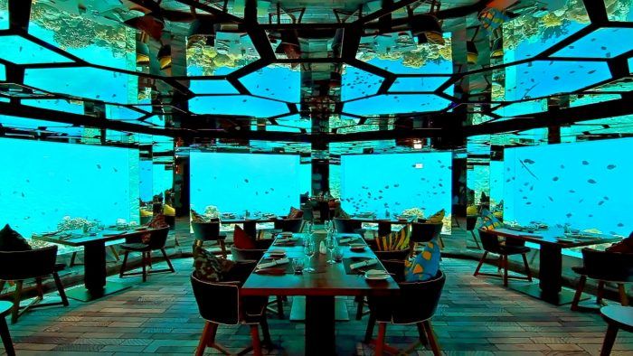 lover’s deep – luxury submarine hotel, đâu là khách sạn 5 sao đắt nhất thế giới?