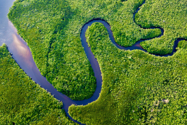 amazon, sông amazon, amazon, con sông dài nhất thế giới, nơi không có cây cầu nào dám bắc qua