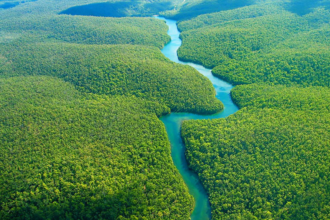 amazon, sông amazon, amazon, con sông dài nhất thế giới, nơi không có cây cầu nào dám bắc qua