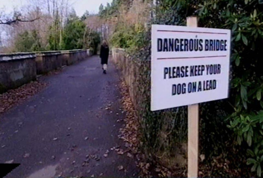 cây cầu ma ám, cầu overtoun, cây cầu ma ám, nơi khiến hàng trăm con chó đi qua đều muốn tự tử