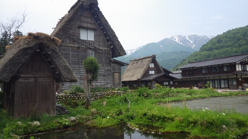 Đi tìm “cô gái mùa thu” trên cao nguyên Gifu