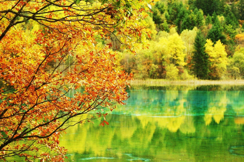 du lịch trung quốc và ngắm nhìn vẻ đẹp của lá mùa thu