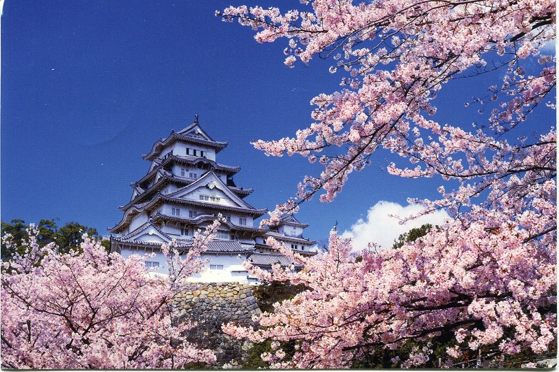 Khám phá vẻ đẹp bốn mùa ở Nhật Bản