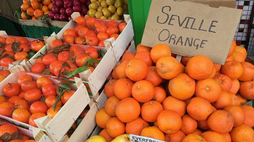 Chuyện khó tin: Những quả cam Seville có thể tạo ra điện