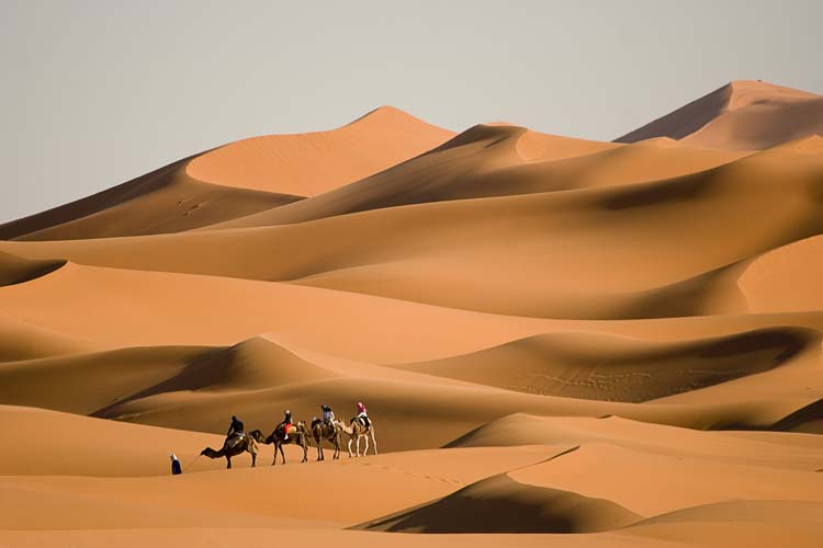 sa mạc, sa mạc sahara, tại sao sa mạc khô cằn rất lạnh vào ban đêm?